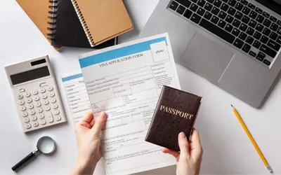 Visa Consulting